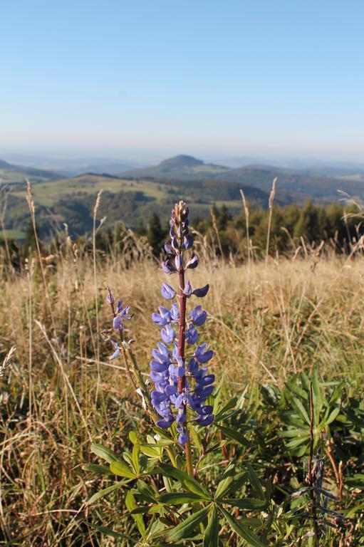 Pension Gasthof Zum Lamm Bischofsheim an der Rhön エクステリア 写真